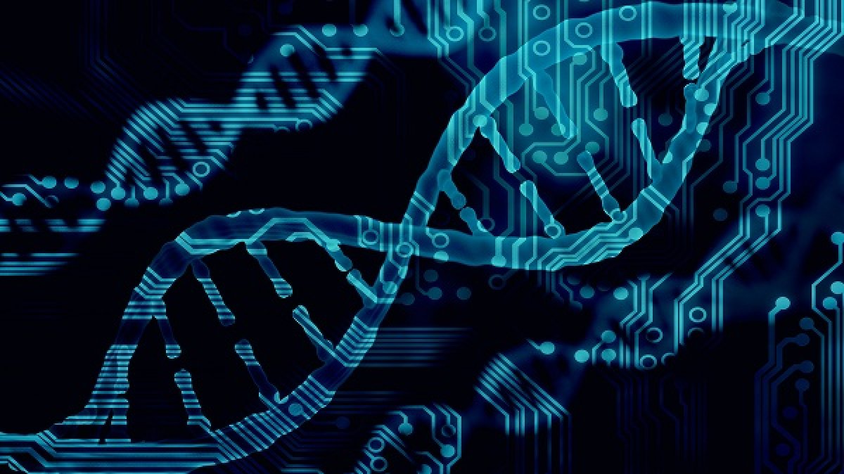 5ème Workshop dédie à la Bioinformatique