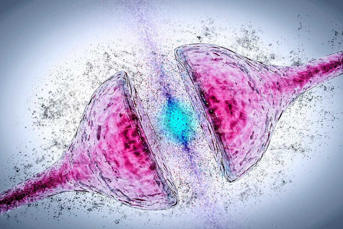 ExonHit, des données prometteuses sur l'utilisation de biomarqueurs génomiques