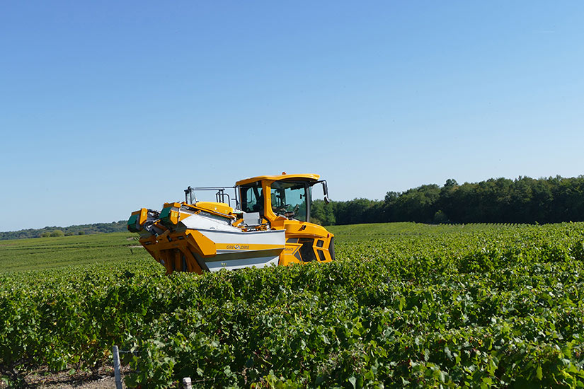 GM7.4, la nouvelle machine à vendanger pour vigne intermédiaire de GREGOIRE