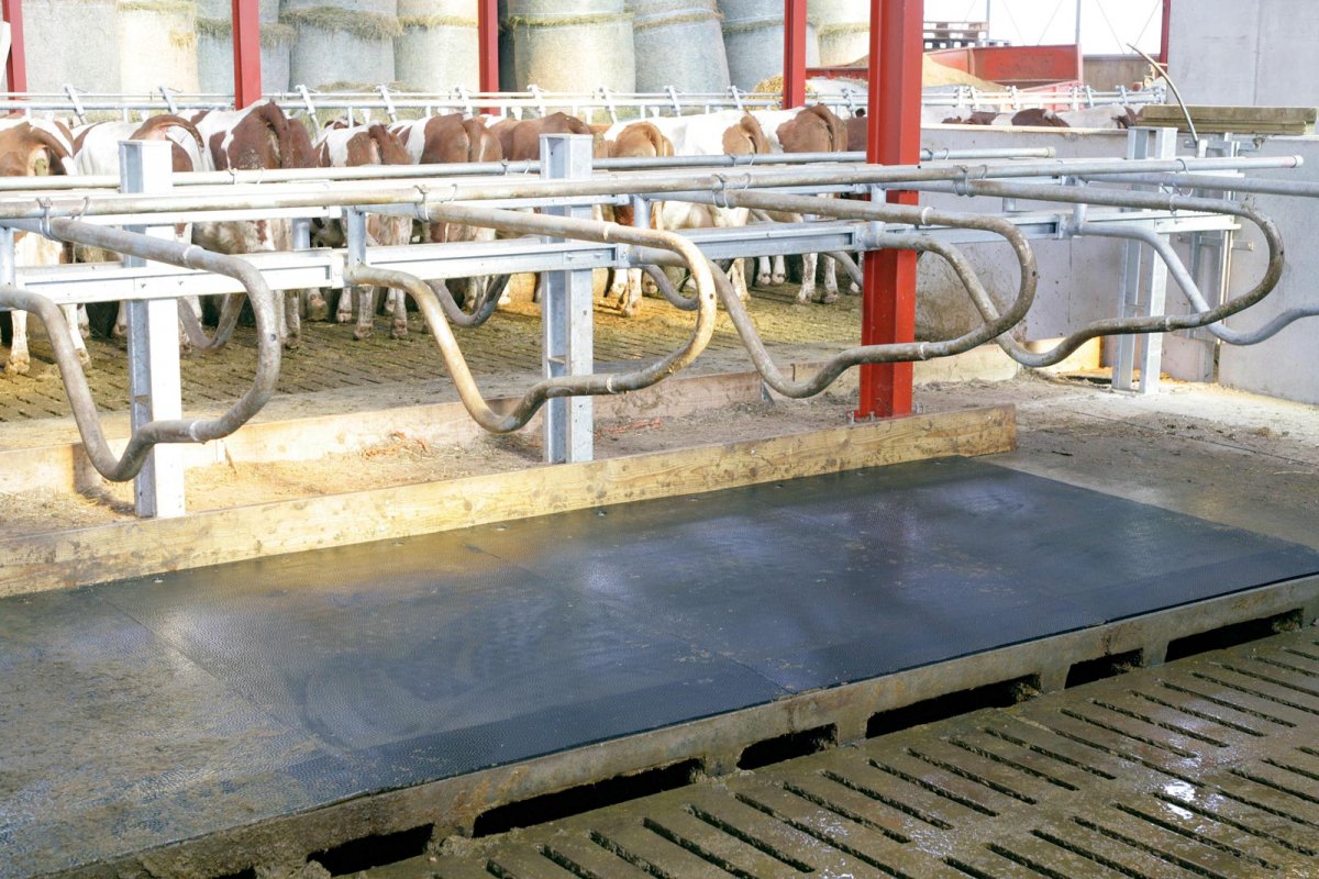 Matelas de logette individuel Quiéta +