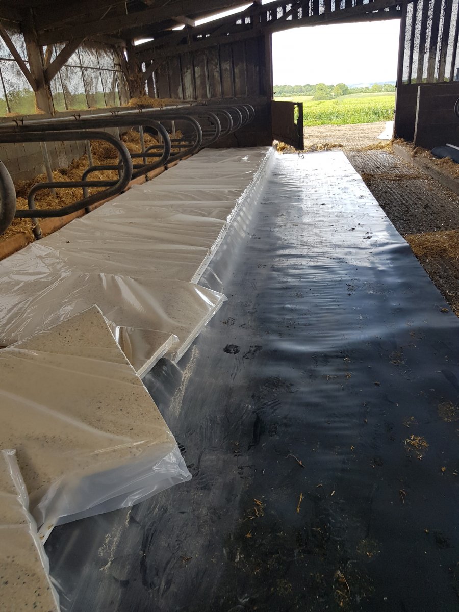 Matelas de logette NATURA avec mousse latex