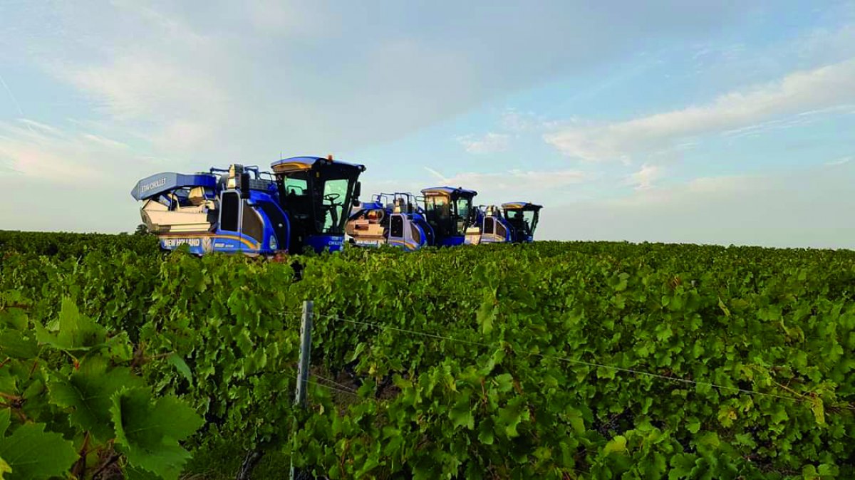 New Holland lance une nouvelle maille d’égreneur sur ses machines à vendanger