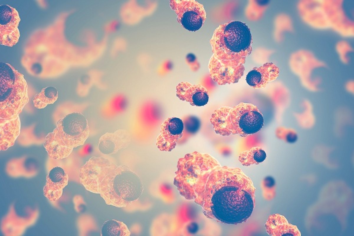 Passerelles vers l'efficacité des diagnostics et des thérapies du cancer