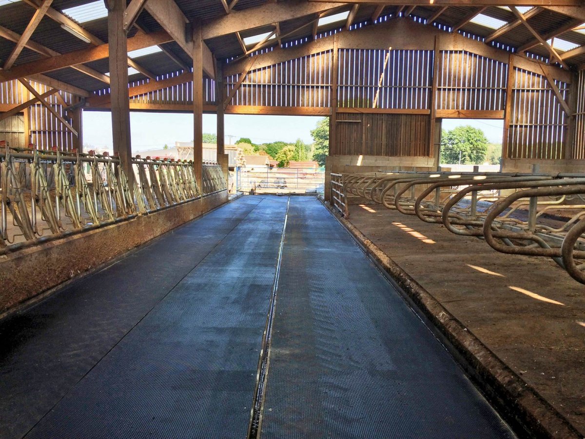 Tapis IDS 12/16 pour les couloirs raclés, salles de traite et aires d'attente