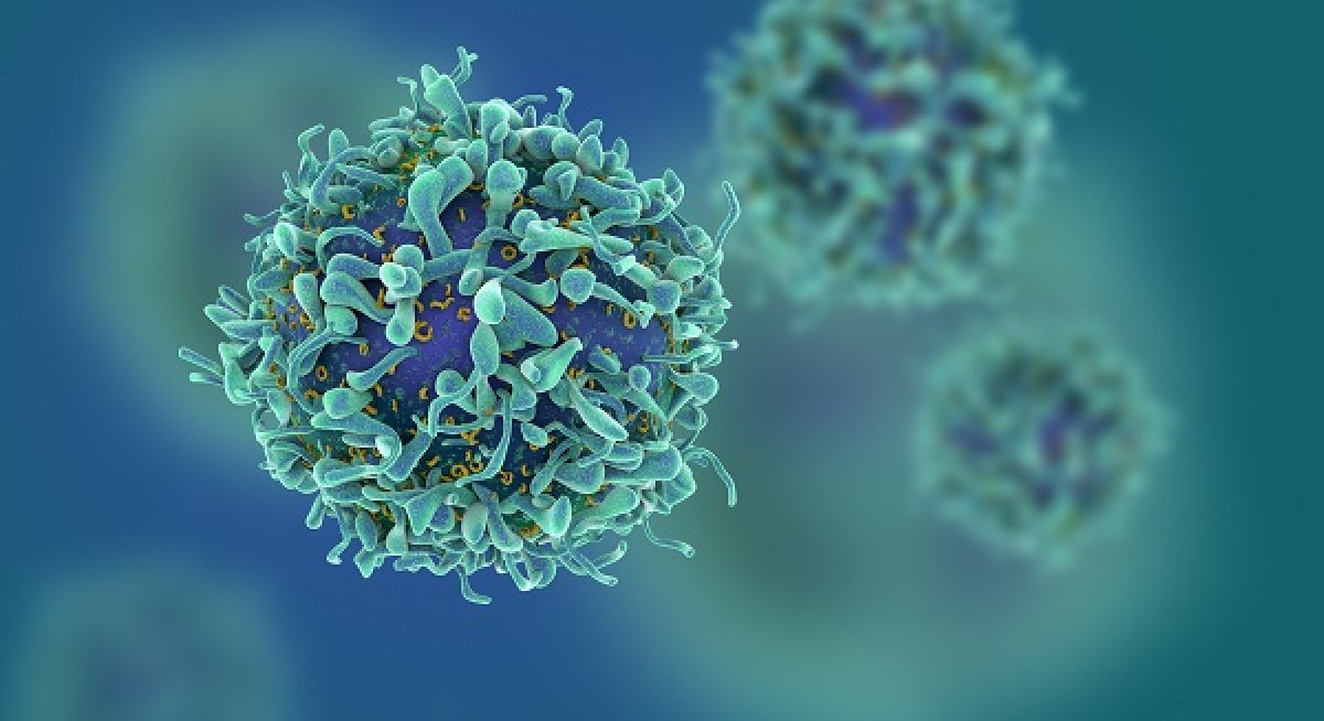 TARGETOME, spin-off du GIGA mène la guerre ciblée contre le cancer