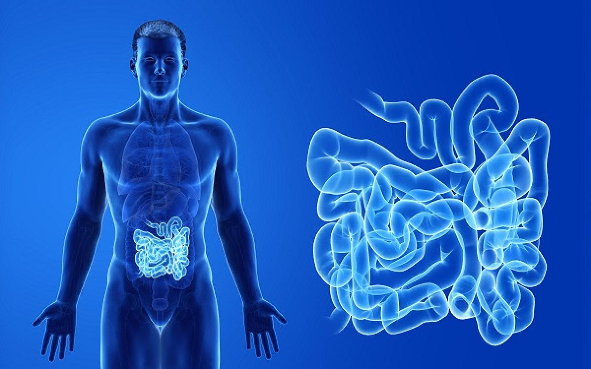 TxCell reçoit l'autorisation d'étendre son essai dans la maladie de Crohn