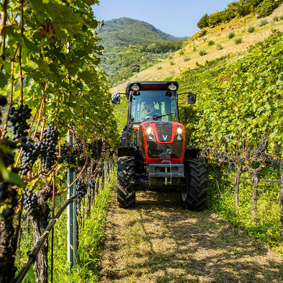 Valtra introduit la Série F à sa gamme de tracteurs viticoles
